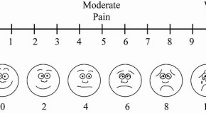Please rate your pain from 0 to Garden of Gethsemane