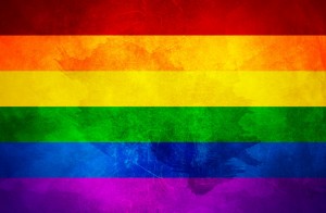 flag_bandera_gay_community_two_by_paundpro-d5qc3gu